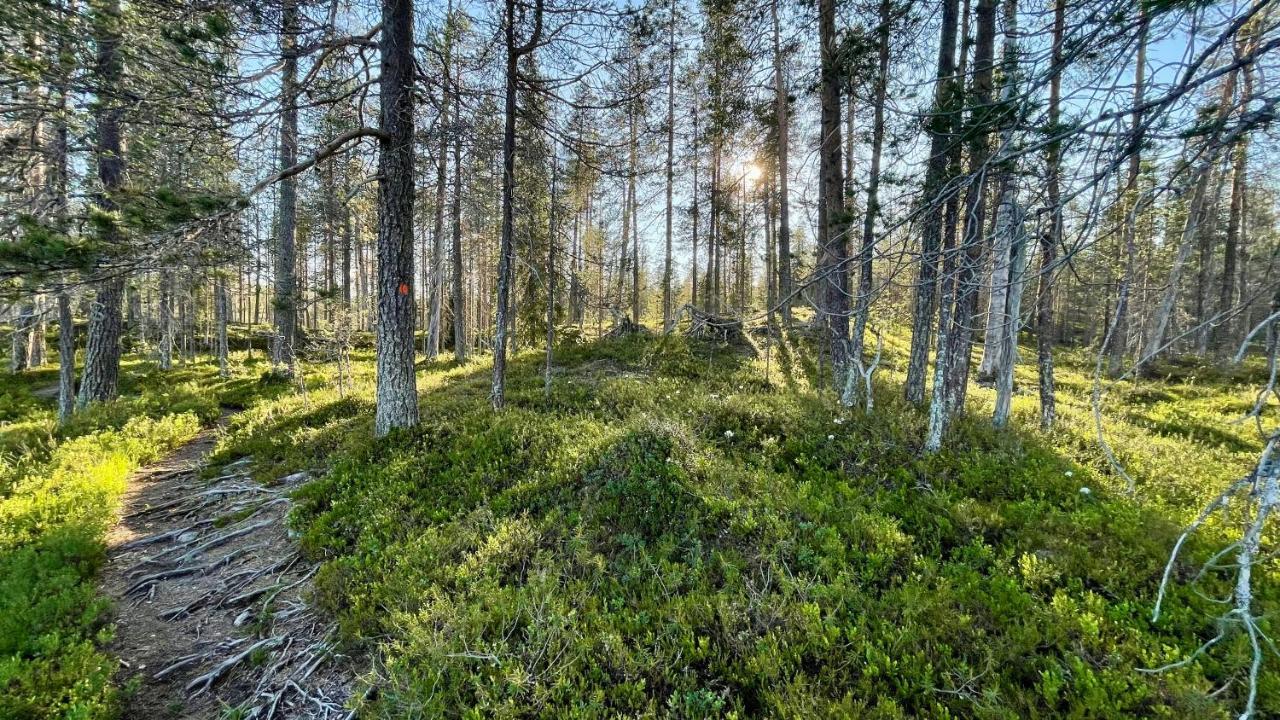 Lapiosalmi Wilderness Center Hotel Posio Exterior photo