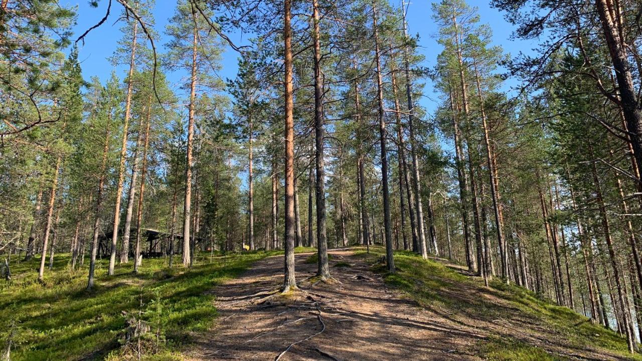 Lapiosalmi Wilderness Center Hotel Posio Exterior photo